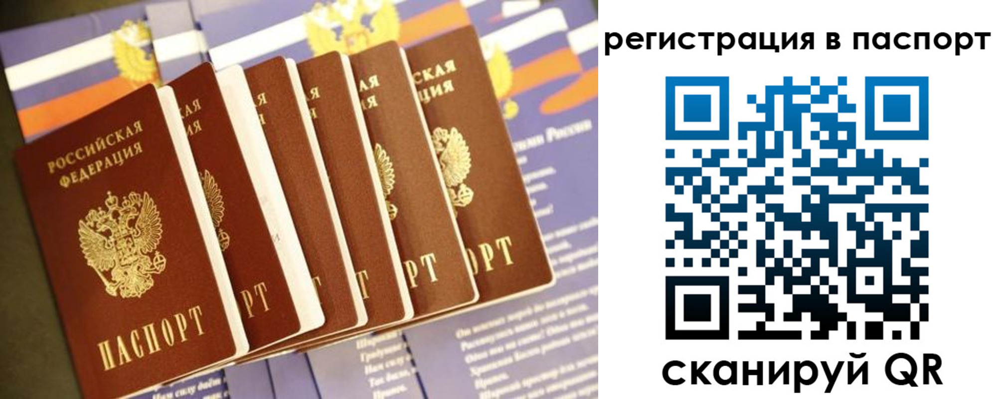 прописка ребенка в Калининградской области